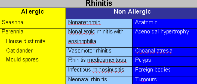 Rhinitis Summary
